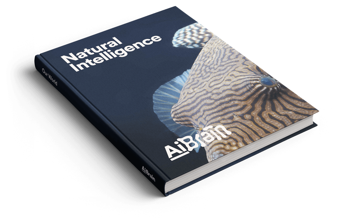 axel_lindmarker_aibrain_artbook